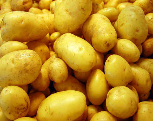 Patates Depoları