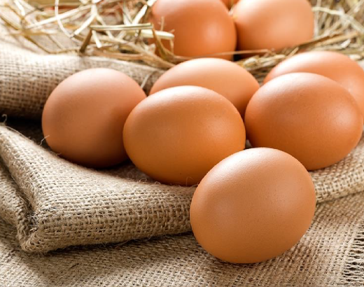 Yumurta Depoları